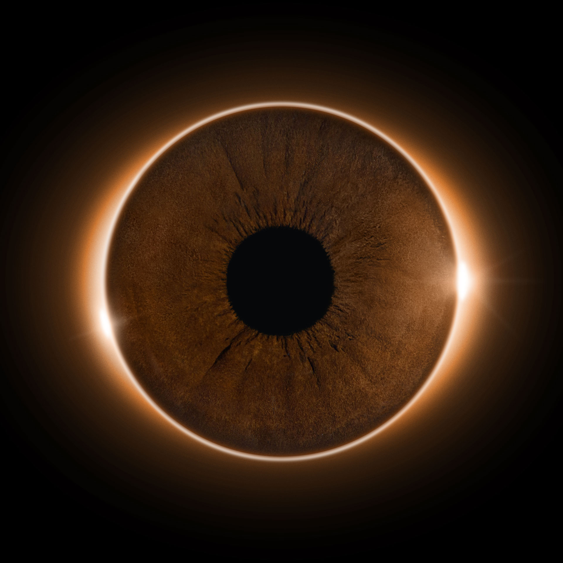 Iris Art - Single - Eclipse