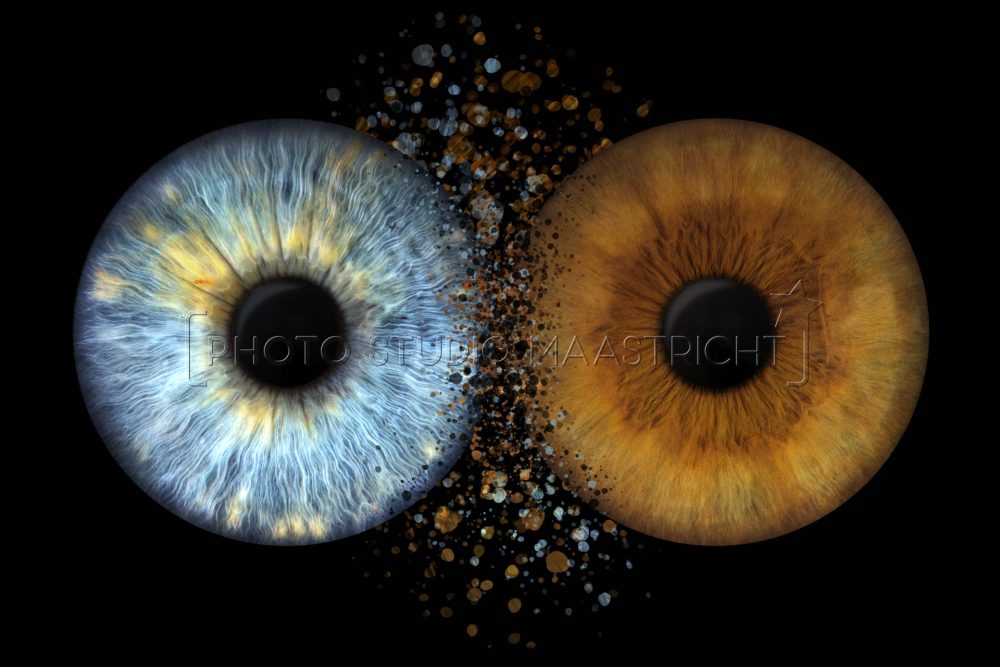 Iris Art foto - Design - Clash Drops - Brown & blue eyes